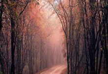 360足球直播在线直播观看免费直播足球直播吧,足球360直播视频直播