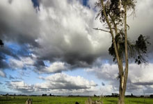 热门赛事平台域名是什么,赛事热点