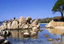 热门赛事直播哪里看抖音的,抖音赛道在哪看